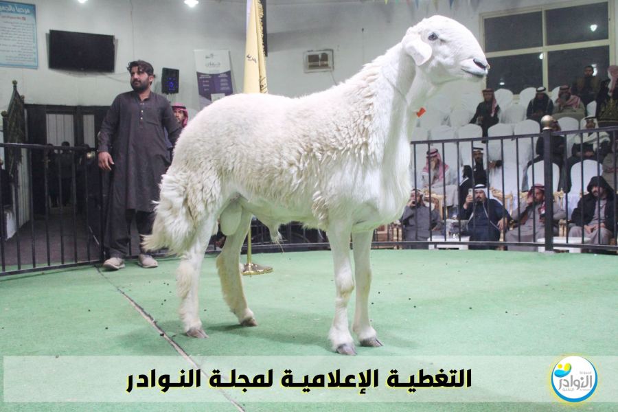 مسابقة أصول الحري الرابع